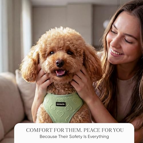 JoyCrafted-FBL No Pull Dog Harness & Leash Set | Lightweight Breathable Neoprene, Cute Heart Pattern, Adjustable Step-in V...