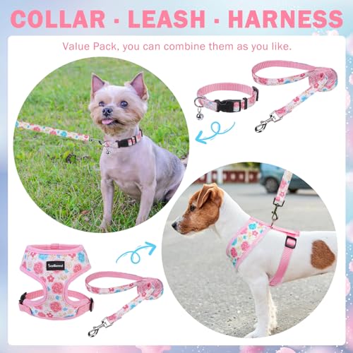 SCENEREAL Small Dog Harness Collar and Leash Set, Adjustable No Pull Pet Harnesses, No Chock Soft Mesh Step in Vest for Do...