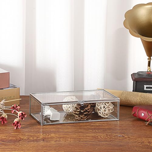 Hipiwe Glass Keepsake Display and Jewelry Organizer With Lid - Silver Decorative Clear Rectangle Storage for Trinket Perfu...