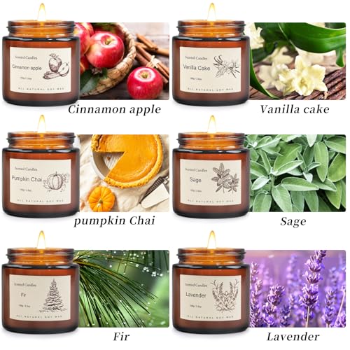 6-Pack Jar Scented Candles for Home Scented - Home Decorative Candles Gift Set, 3.5oz Soy Wax Candles for Living Room, Bat...