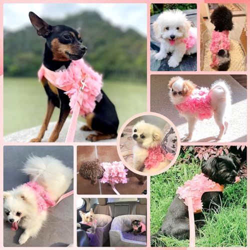 TENGZHI Cute Small Dog Harness and Leash Set Pink Lace Floral Girl Puppy Harness for Small Dogs Cats Soft Mesh Dog Vest Ha...