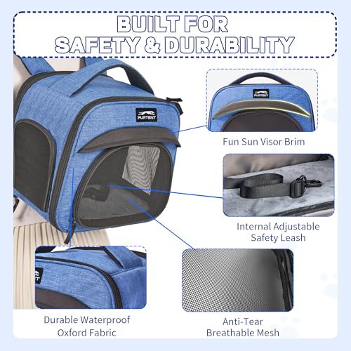 Small Pet Carrier, Breathable Collapsible Pet Bag with Safety Leash for Small Puppy, Kitten, Guinea Pig Weighing up to 8 P...