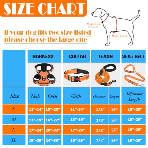 LOBEVE No Pull Dog Harness, Collar & Leash Set | Includes Dog Seat Belt, Collapsible Bowls & Poop Bag Dispenser. Ideal for...