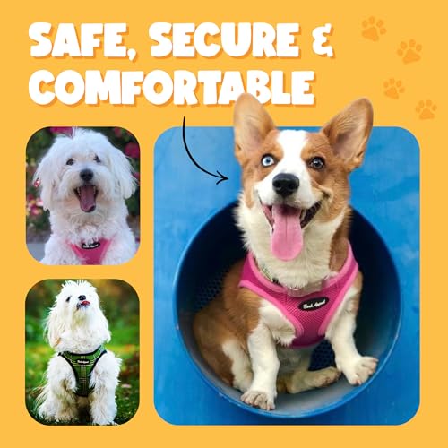 Bark Appeal Pink Hibiscus Step-in Dog Harness for XS to Small Sized Pets – Updated Sizing, Re-Measuring is Essential – Sof...