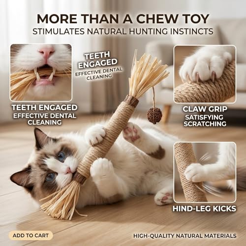 GREMBEB Cat Toys 12PCS Catnip Toy for Indoor Kitten Toys Cat Chew Stick for Dental Cleaning Teeth Cat Silvervine Matatabi ...