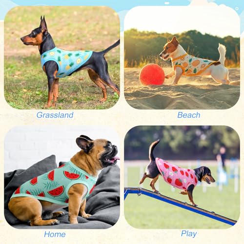 Abbylike 6 Pack Summer Shirts for Dog, Stretchy Dog T Shirts, Cooling Quick Dry Lightweight Pet Sleeveless, Breathable Cat...