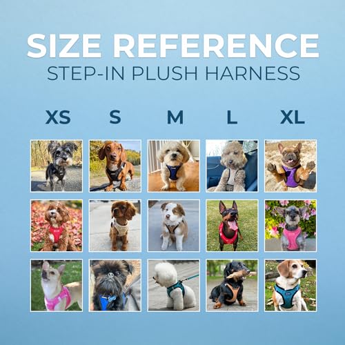 Best Pet Supplies - All Weather Plush, Reflective, No Pull Harness for Small, Medium Dogs, Cats - Secure with Hook & Loop ...