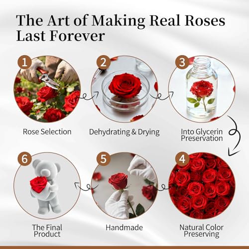 SEEROSE Preserved Rose with Cute Bear, Eternal Real Rose Last for Years, Romantic Flower Gift for Her, Wife, Girlfriend, V...
