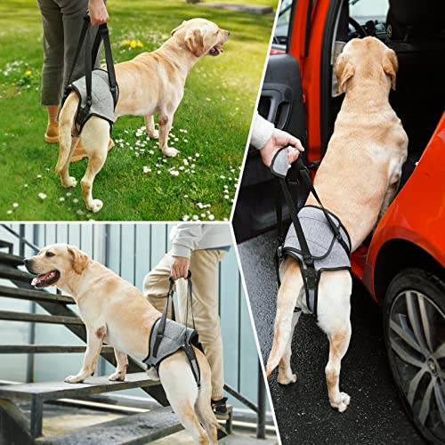 Dog Lift Harness, TORJOY Dog Sling for Small Medium Large Dogs, Dog Support Harness for Back Legs, Adjustable Soft Padded ...