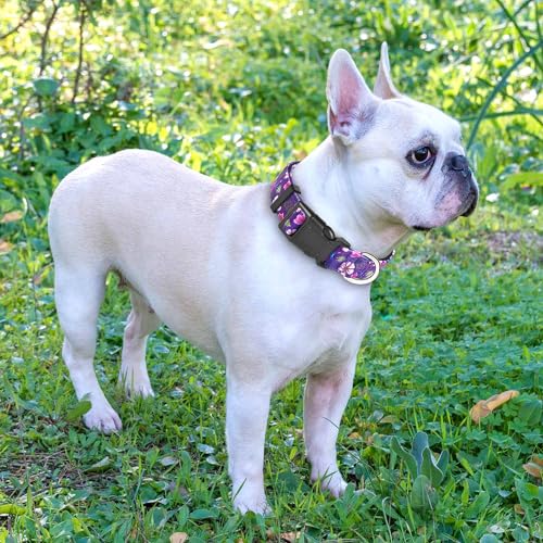 Ladoogo Reflective Dog Collar Padded with Soft Neoprene Breathable Adjustable Nylon Dog Collars for Small Medium Large Dog...