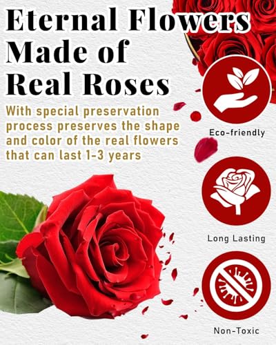 Changshunqi Forever Flowers Preserved Roses in a Box - 7 Preserved Flowers in a Box Last 2-3 Years, Rose Forever Birthday ...