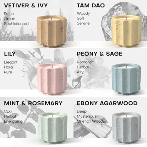 JueOne Scented Candles Set for Home, 6 Pack Natural Soy Wax Candle Gift Set, Non-Toxic Cement Jar Candles, Luxury Aromathe...