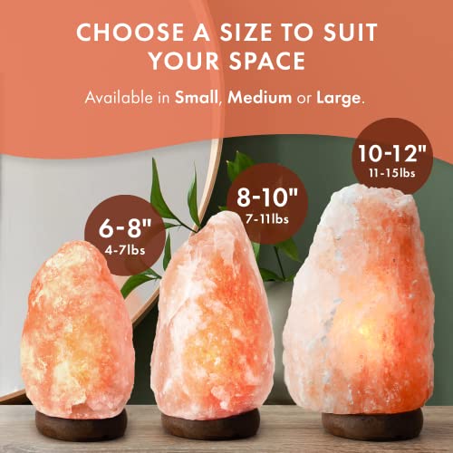 The Body Source Himalayan Salt Lamp 10-12 Inches (11-15lb) | Includes Dimmer Switch | Natural Salt Rock Lamp with Handcraf...