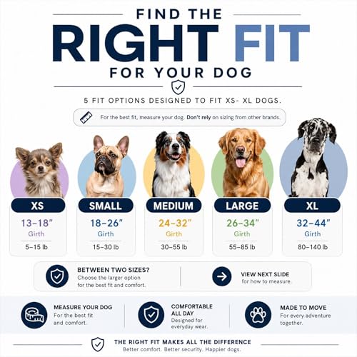 ShawnCo Essential Dog Harness, No-Pull Pet Vest with 3 Leash Clips, No Choke, Reflective, Adjustable and Padded, for Easy ...
