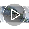 120 Pcs 4 Kinds Mixed Artificial Eucalyptus Leaves Stems Bulk Fake Silver Dollar Eucalyptus Bundle Faux Plants Greenery fo...