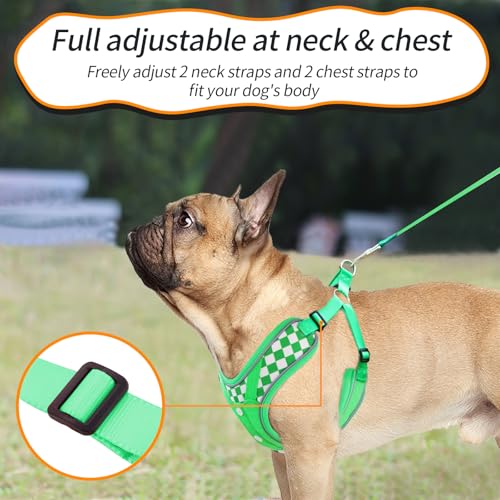 Dog Harness with Leash Set, Adjustable Step in with Breathable Padded Vest Harness for Medium Large Dogs Training and Runn...