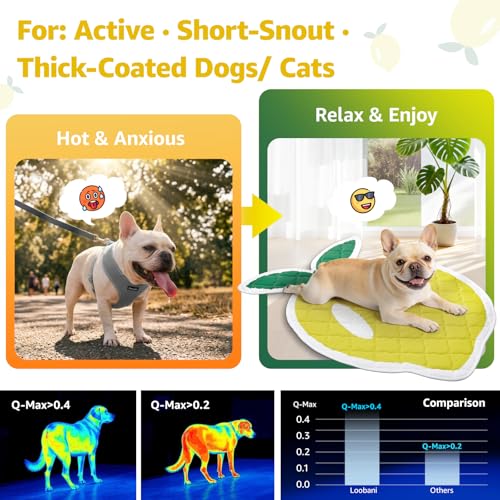 LOOBANI Dog Cooling Mat 38"x50"- Cute Lemon Design Cooling Mat for Dogs (Cool & Warm Side), Waterproof Self-Cooling Mat fo...