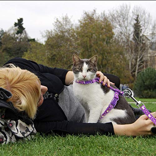 Cat Harness and Leash Set Gold Moons Soft Nylon Escape Proof Adjustable for Kittens Small Animals Glow in The Dark(Purple)