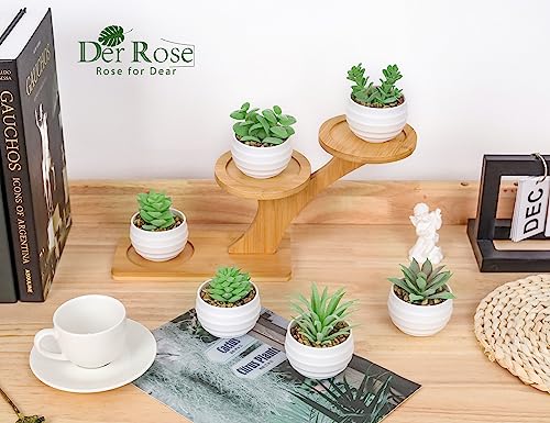Der Rose Set of 6 Succulents Plants Artificial in Pots Small Fake Plants for Bedroom Aesthetic Living Room Shelf Bathroom ...