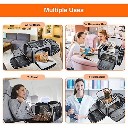 MASKEYON TSA Airline Approved Soft Sided Pet Carrier Top Loading 4 Side Expandable Large Travel Cats Carrier Collapsible w...