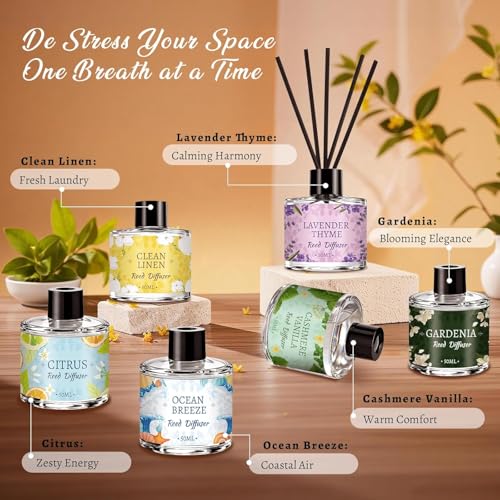 Vetuslumen 6 Pack Reed Diffuser Sets, Essential Oil Reed Diffusers for Home with 24 Sticks, Long Lasting Scent, Gift Ready...