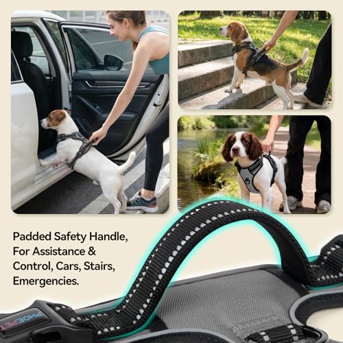 PHOEPET No Pull Dog Harness Medium Reflective Front Clip Vest with Handle, Adjustable 2 Metal Rings 2 Buckles(M, Grey)