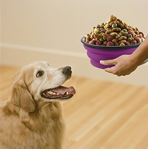 Large Collapsible Dog Bowls, 34oz Portable Foldable Travel Water Bowl Food Dishes with Carabiner Clip for Traveling, Hikin...