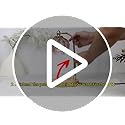 GEEZO Fragrance Candle Warmer Lamp，Electric Candle Warmer with Timer & Dimmer，Mom Christmas Birthday Gifts for Women, Hous...