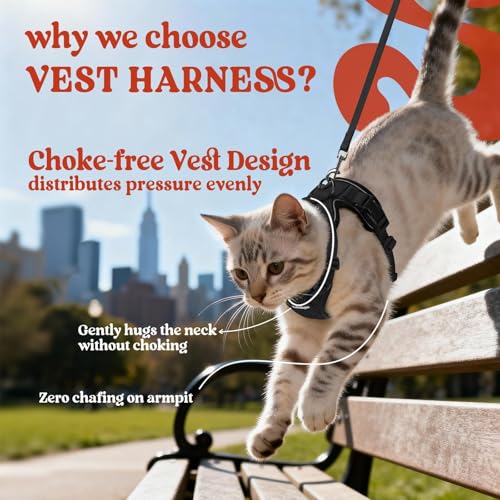 rabbitgoo Cat Harness and Leash for Walking, Escape Proof Soft Adjustable Vest Harnesses for Cats, Easy Control Breathable...