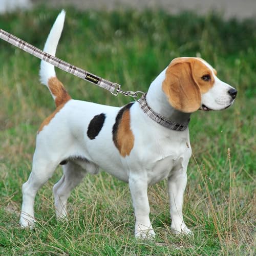 Plutus Pet Cotton Hemp Dog Collar and Leash Set, Adjustable Collar for Small, Medium, and Large Dogs, Heavy Duty and Soft ...