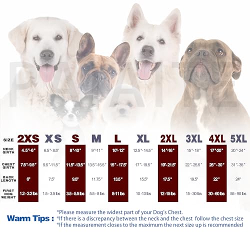 Expressive Polyester Dog Shirt Vest: Soft and Lightweight Puppy Shirt for Small and Medium Dogs, Featuring the Playful 'Cu...