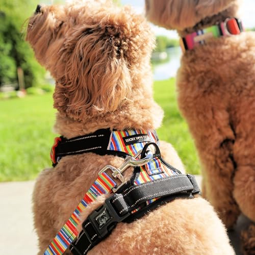 Lucky Love Dog Harness, Easy to Walk, No Pull Dog Harness, Adjustable Custom Fit (Hippie, Small)