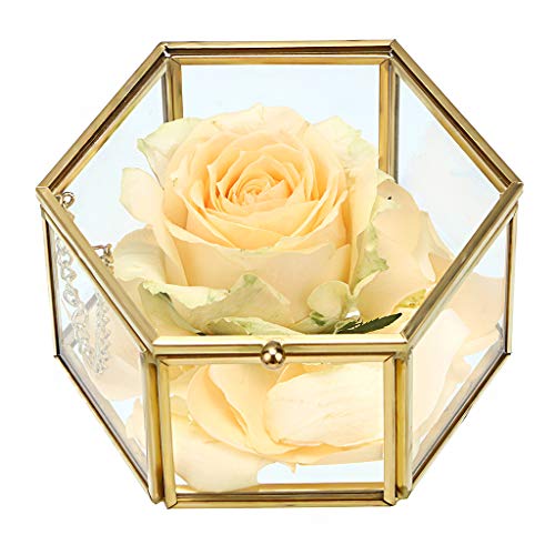 Hipiwe Preserved Flower Glass Box, Hexagon Glass Jewelry Decorative Bin, Ornate Trinket Display Organizer Case Keepsake Bo...