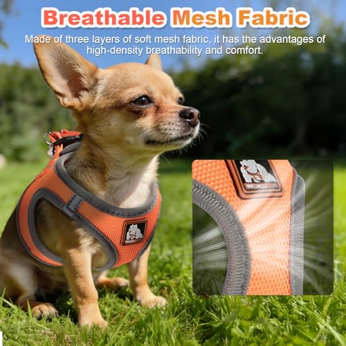 Dog Harness Medium Sized Dogs, Puppy Harness and Leash Set for Training, Running, Walking, Suitable for Small and Medium D...