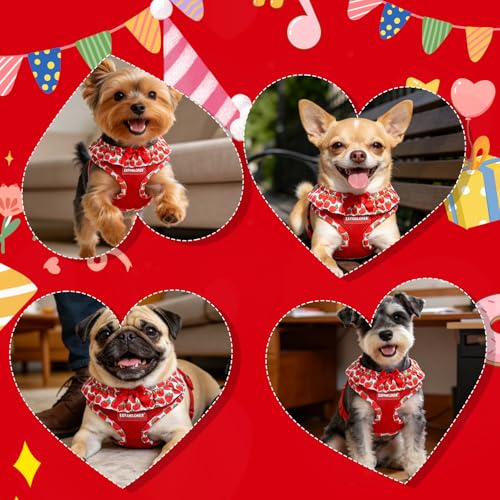 EXPAWLORER Cute Dog Harness Collar Leash Set - Red Girl Dog Harness Checkered Step-in Design, Adjustable No-Choke Lightwei...