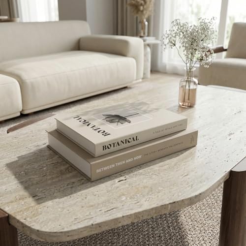 ZICOTO Beautiful Decorative Books - Set of 2 Boxes Enhance Your Coffee Table, Bookshelf or Mantel Decor - Aesthetic Fake/F...