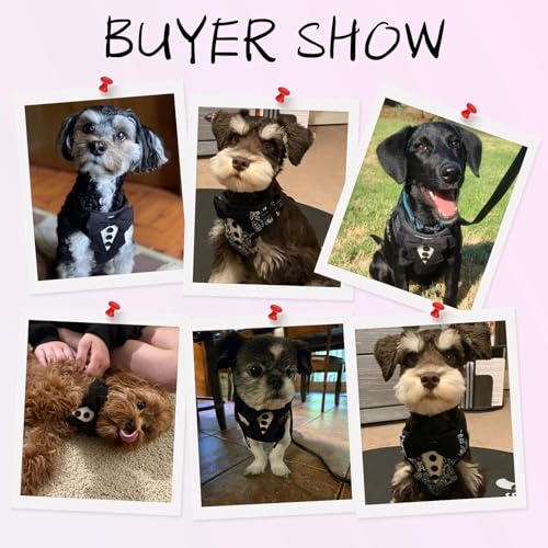 BINGFPET Dog Tuxedo Harness for Small Medium Dogs, No Pull Dog Harness and Leash Set,Soft Padded Mesh Step-in Dog Vest Tux...