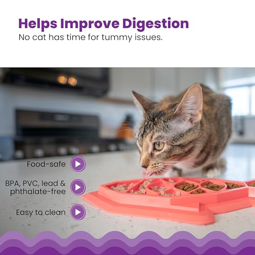 Catstages Fishie Fun Feed Mat – Non-Slip Slow Feeder Mat for Cats with Catnip, Crinkle Sounds & Engaging Play, ½ Cup Food ...