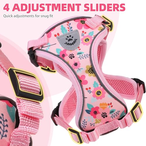 PUPTECK Cat Harness and Leash Set Escape Proof Reflective Cat Walking Harness Adjustable Soft Breathable Mesh Vest for Sma...