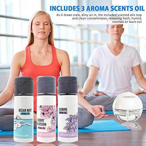 Daiwa Felicity Aroma Globe Air & Room Revitalizer - White Noise Aromatizer Air Washer Machine with Scented Oils, Water Air...