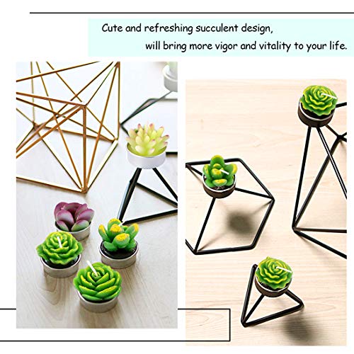 Swpeet 12Pcs Decorative Succulent Cactus Tealight Candles Kit, Cute Smokeless Succulent Plants Perfect for Candles Festiva...