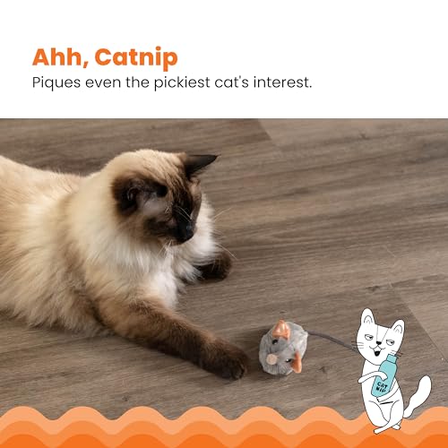 Catstages Squeak Squeak Mouse Cat Toy with Touch-Activated Sound & Catnip, Gray