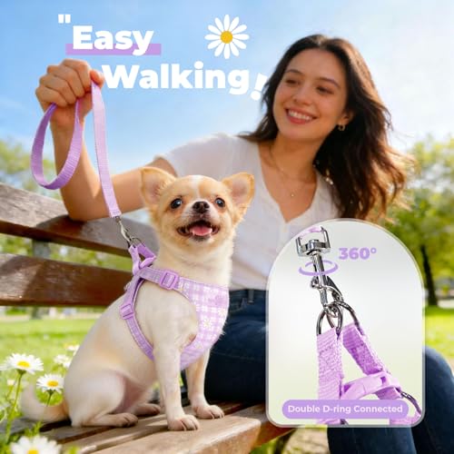 PETCARE Cute Small Dog Harness and Leash Set Purple Floral Daisy Puppy Harness Vest Adjustable Step in Spring Summer Soft ...
