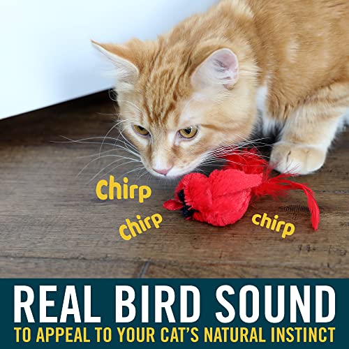 OurPets Play-N-Squeak Real Birds Interactive Cat Toys with Catnip (Cat Toys for Indoor Cats; Catnip Toy for Cats with Bird...