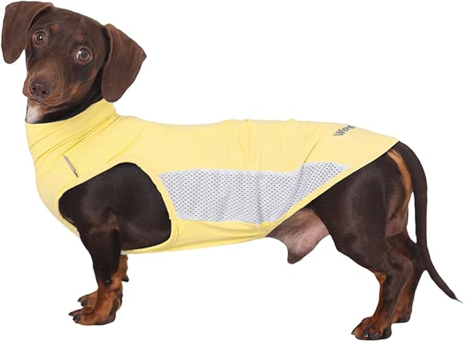 WienieDay Dachshund Dog Cooling Vest, Breathable Summer Dog Cooling & Quick-Dry Shirt for Outdoor Activities,Mini Dachshun...