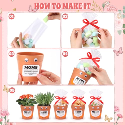 Hollowfly 24 Sets Mother's Day Crafts Bulk DIY Mom Gifts with 24 Pots 24 Gift Bags 24 Cards 50 Felts 50 Eyes Mother's Day ...