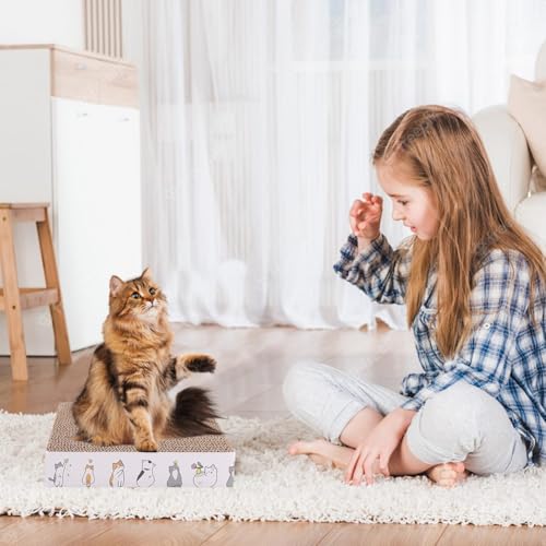 Kitten Starter Kit - 16 Pcs Cat Essentials Set Includes Litter Box, Toys, Collars, Scratch Pad, Nail File, Automatic Feed ...