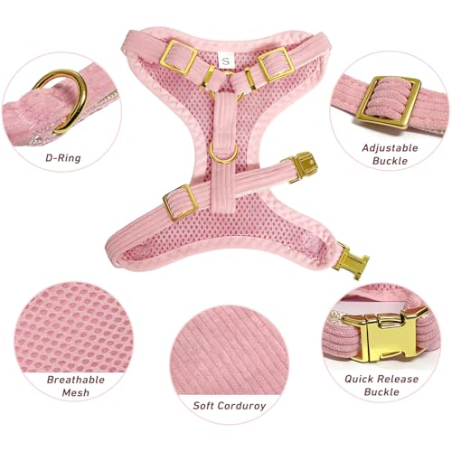 Cute Small Dog Harness Collar and Leash Set with Detachable Bowtie, Adjustable Dog Harness Collar and Leash Set with Secur...