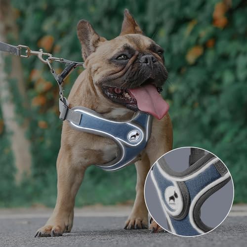 Dog Harness with Leash Set, Adjustable Step in Collars Harness with Breathable Padded Vest for Small Medium Large Dogs Tra...
