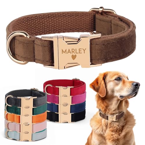 Velvet Harness Set, Gift for Pet Owners, Custom Dog Collar Personalized Name and Phone Number, Custom Collar and Leash for...